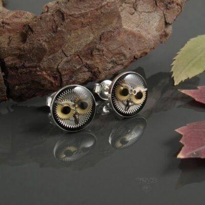 Kolczyki sówki ze srebra i części zegarków